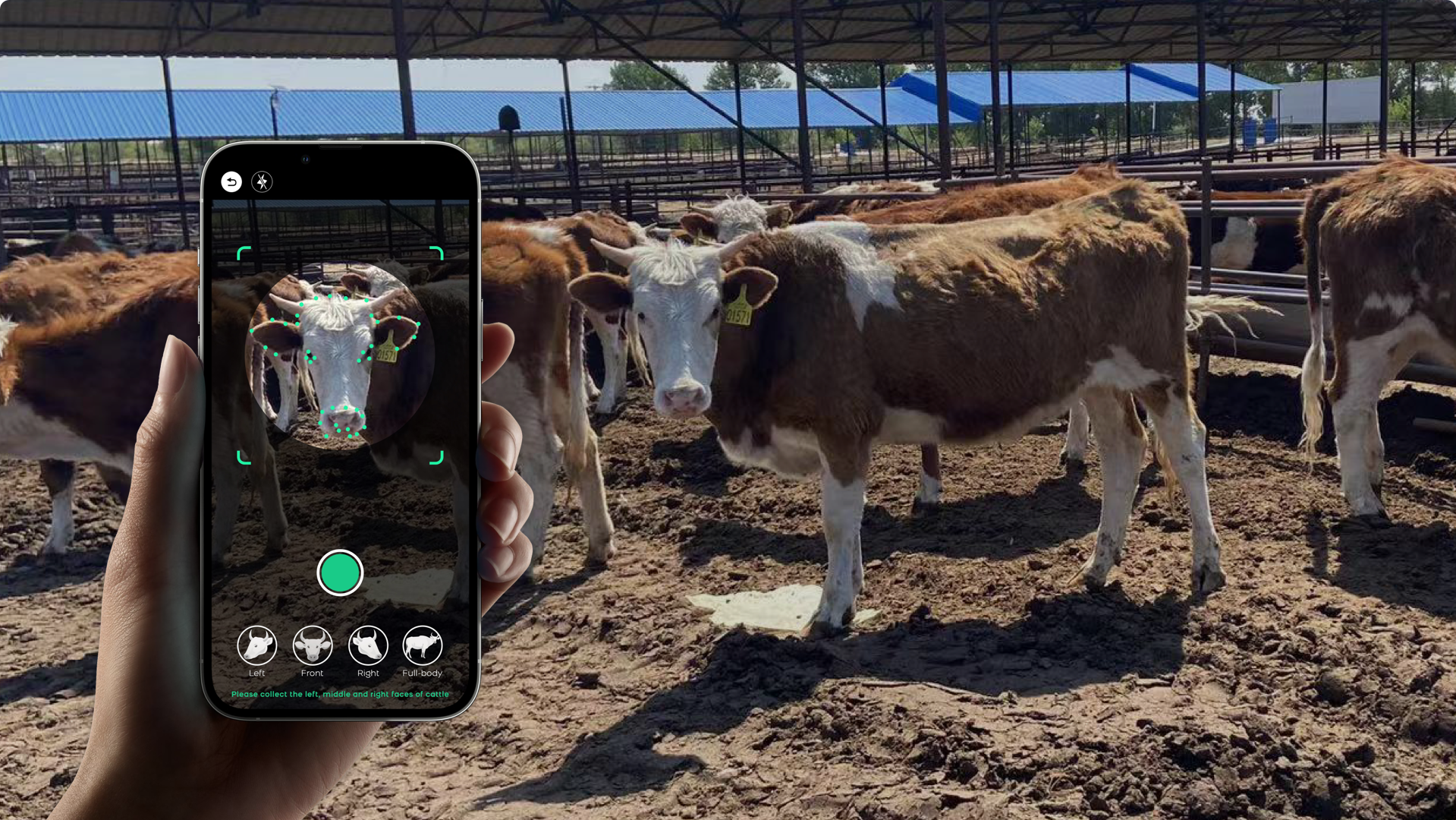 Designing AI for Agricultural Insurance Growth